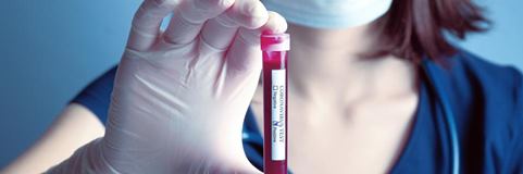 technologie des cellules souches