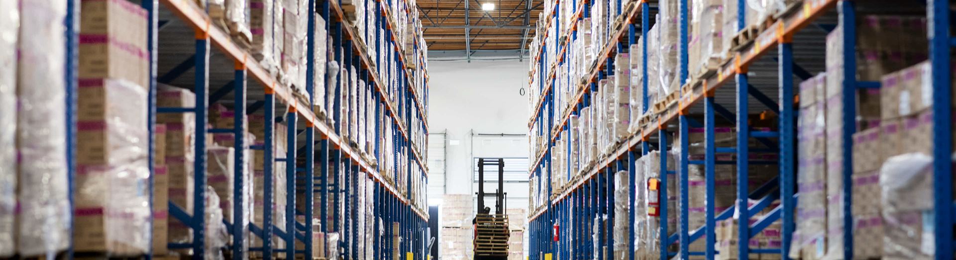Managing distribution for a consumer goods giant DSV