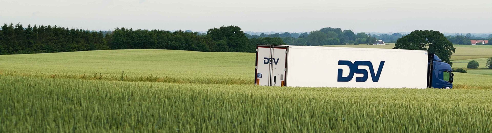 Gender Pay Gap report for Road | DSV
