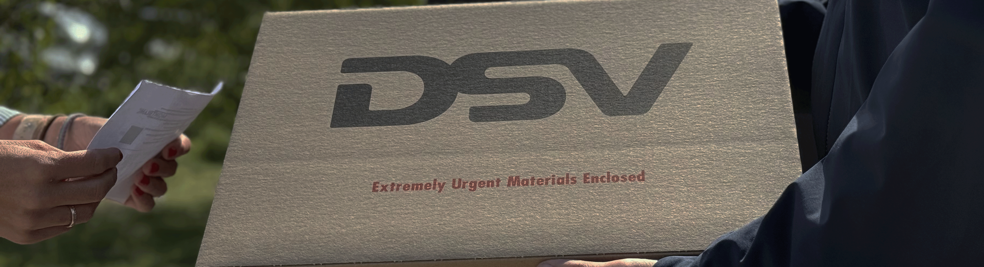 trasporto dsv xpress 