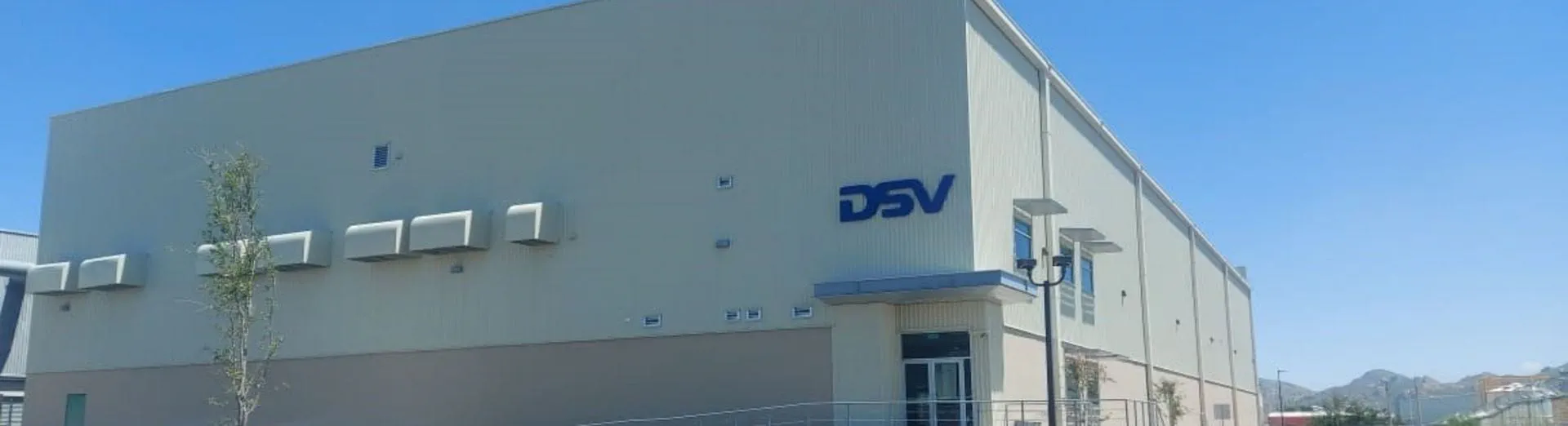 DSV Solutions Chihuahua DSV