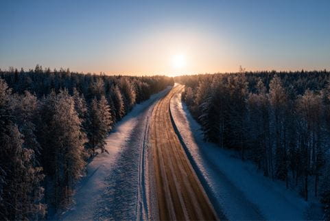 paisagem com uma estrada no meio e arvores de ambos os lados