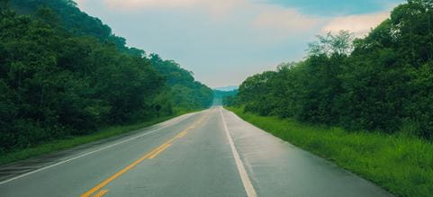 Road through a forest