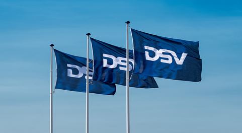 DSV Flag