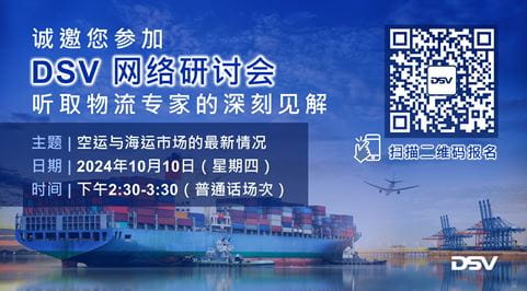 DSV Webinar