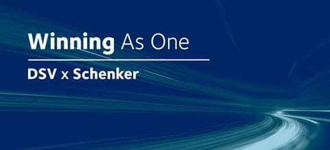 dsv