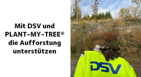 DSV Jacke vor Wald