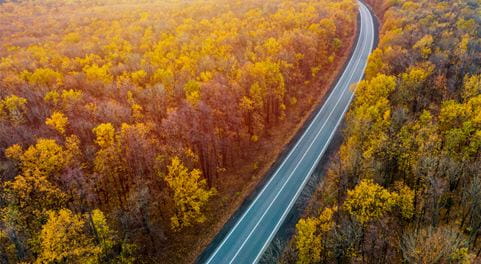 Eine Straße führt durch einen herbstlichen Wald