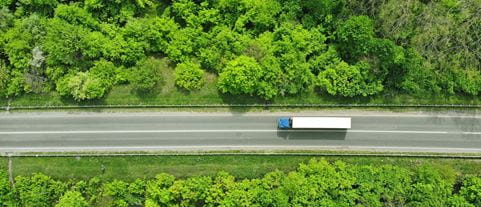 Auto rohelisel teel