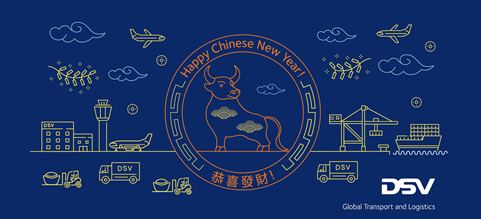 ano nuevo chino transporte