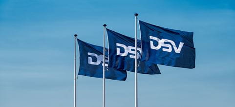 3 DSV:n lippua liehuu tangossa.