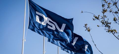 Bandiere con il logo DSV contro un cielo azzurro