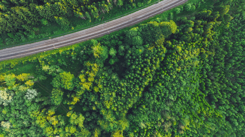 Paisaje de un bosque con vías de ferrocarril atravesándolo