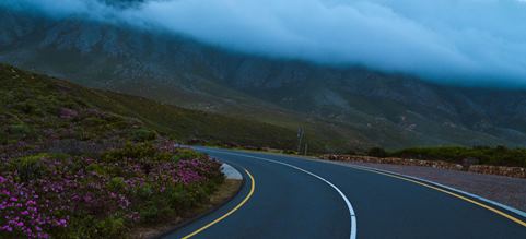 Carretera entre las montañas, donde se pueden ver flores moradas y pasto del lado izquierdo y, de fondo, la cordillera y neblina.
