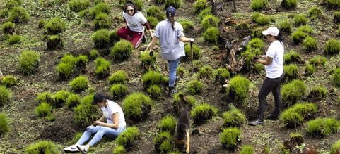 Equipo de DSV reforestando en el Nevado de Toluca y acompañados por un perro de la comunidad.