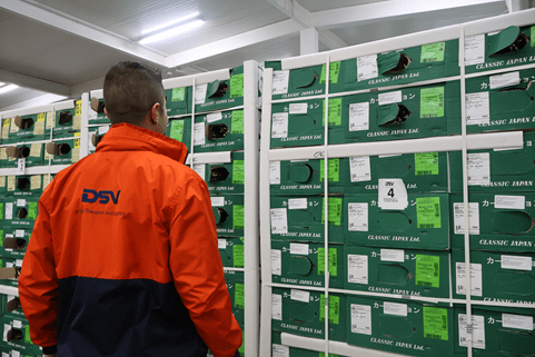 Hombre joven con chamarra naranja y el logo de DSV viendo a cajas de flores para exportación