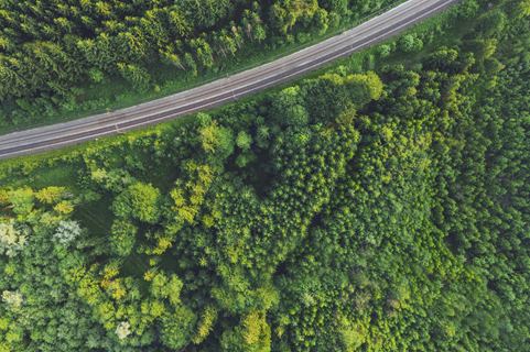 DSV Nachhaltigkeitsbericht - grüner Wald durch den eine Straße führt