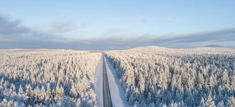 Jul og nyttårstrafikk 2025-2026