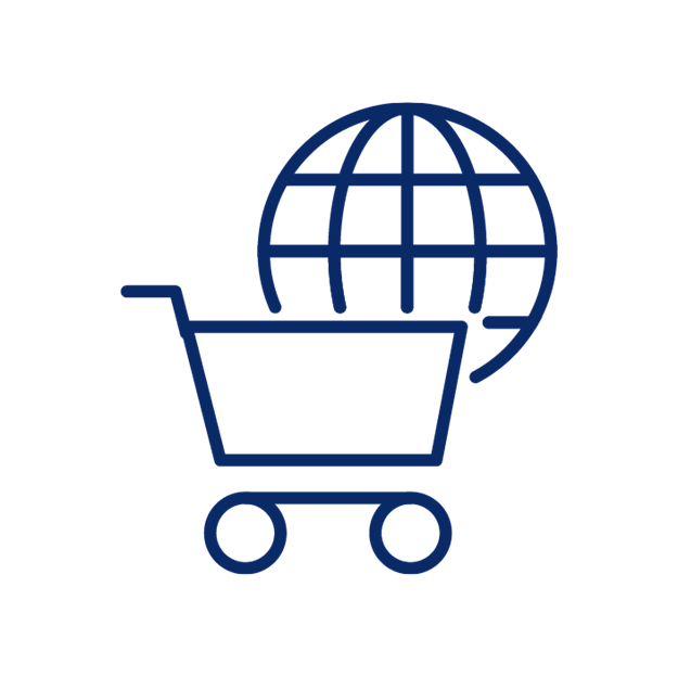 E-commerce DSV