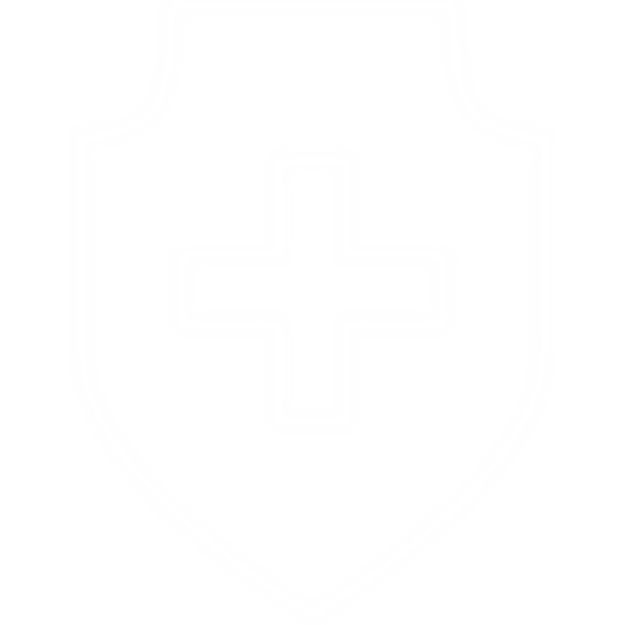 保护货物免受损坏或遗失