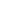 XPress icon