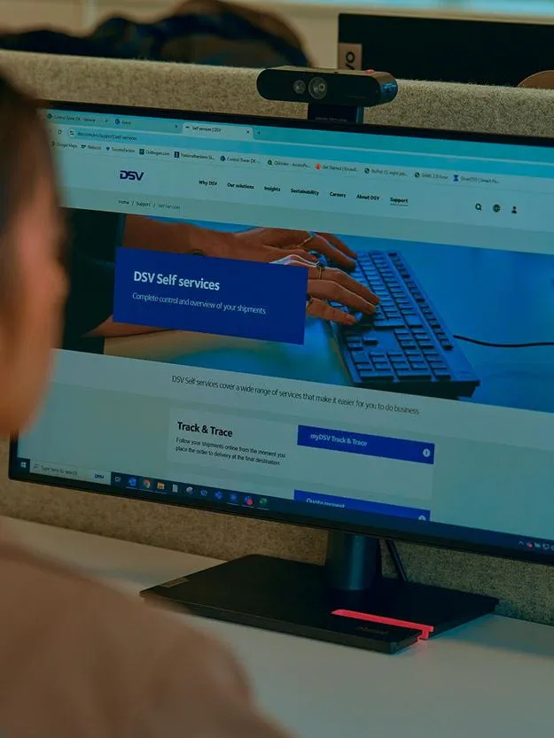 A person views the DSV self-service portal on a computer monitor.