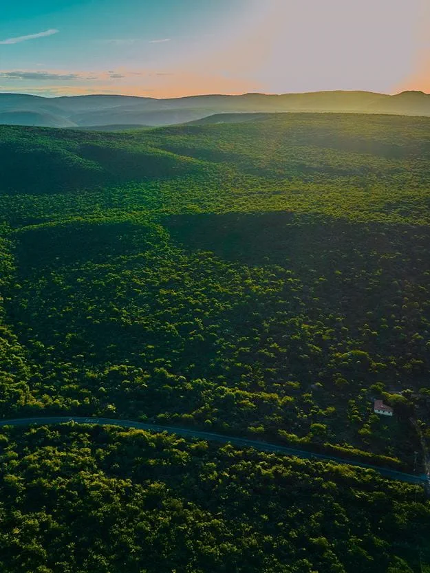 Aerial view of green hills, a road, and sunset sky