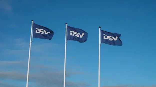 DSV blue flags