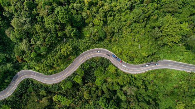 Winding curvy road trough a green forest