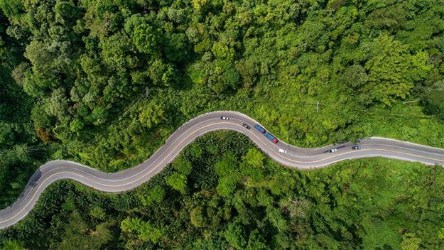 Route à travers une forêt verte