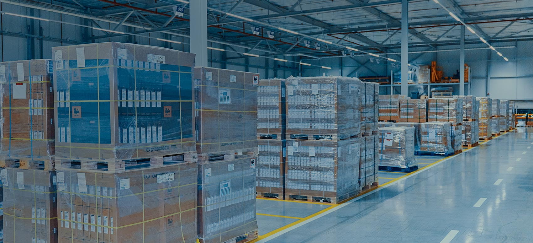 Innovación en la cadena de suministro Palets organizados de productos en un almacén en espera de envío, mostrando soluciones de inventario y almacenamiento.