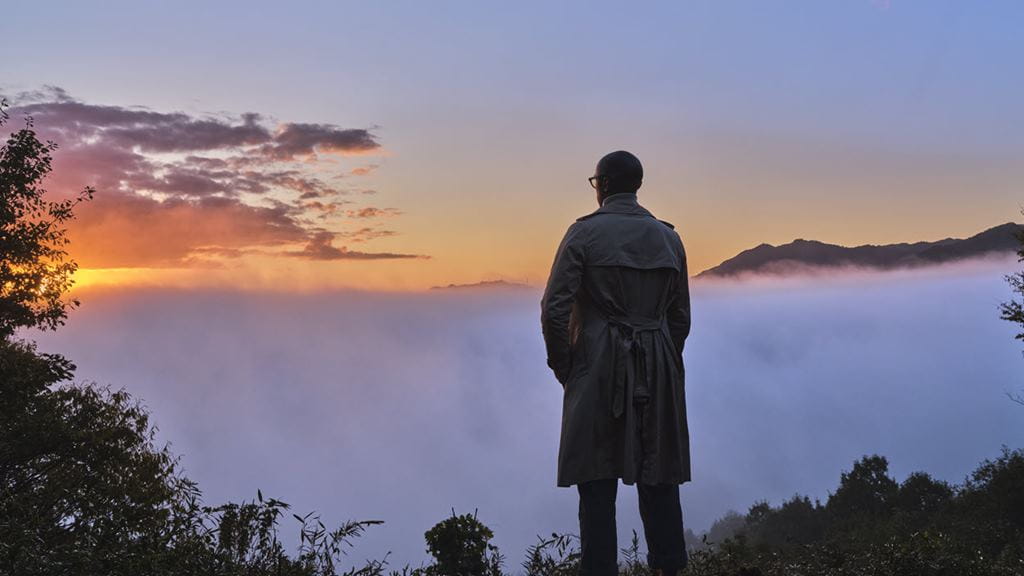 DSV Careers: Transport & Logistics Opportunities