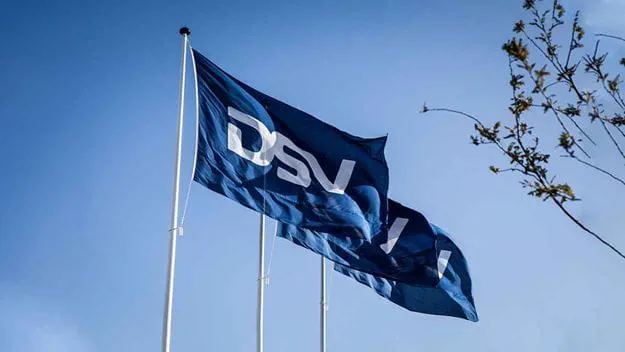 Blue DSV flags