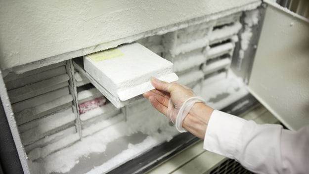 Temperature-controlled storage handling with protective equipment, ensuring cold chain integrity.