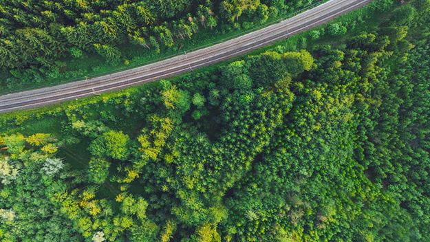 een weg door een groen natuurgebied
