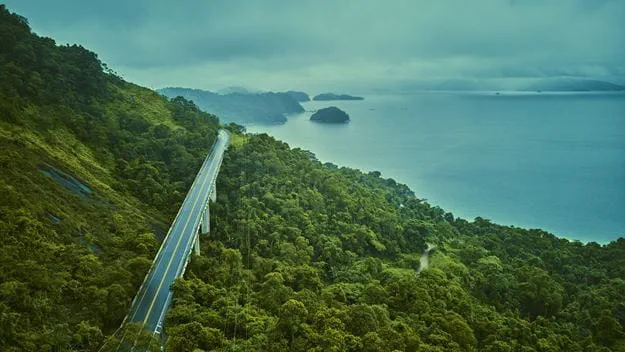 Road between trees on the coastline next to the ocean