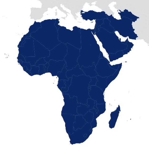 middle east africa dsv