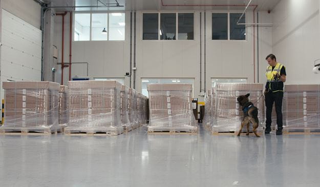 dsv transport and logistics dog sniffs pallet