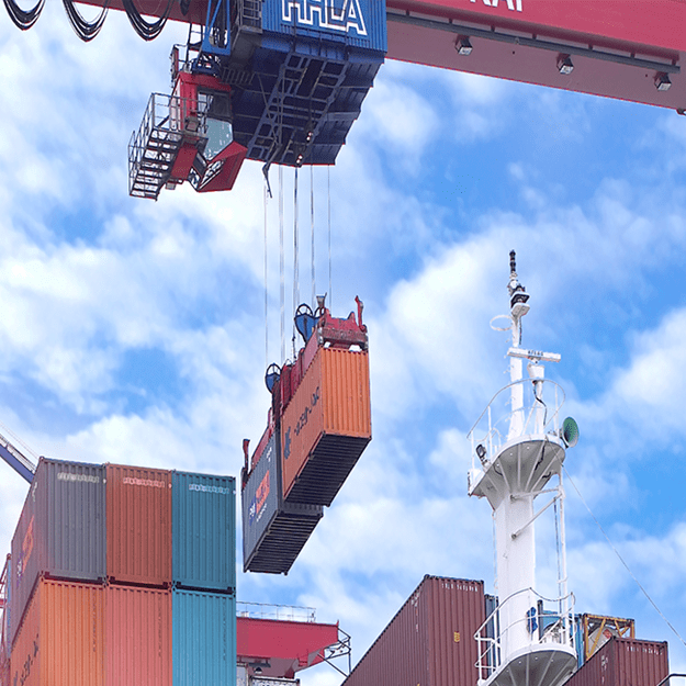 afbeelding artikel LJ November 2023