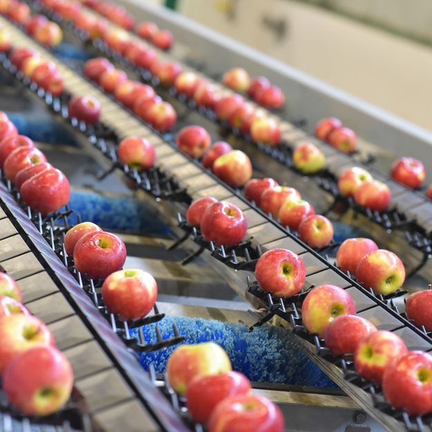 røde epler på samlebånd