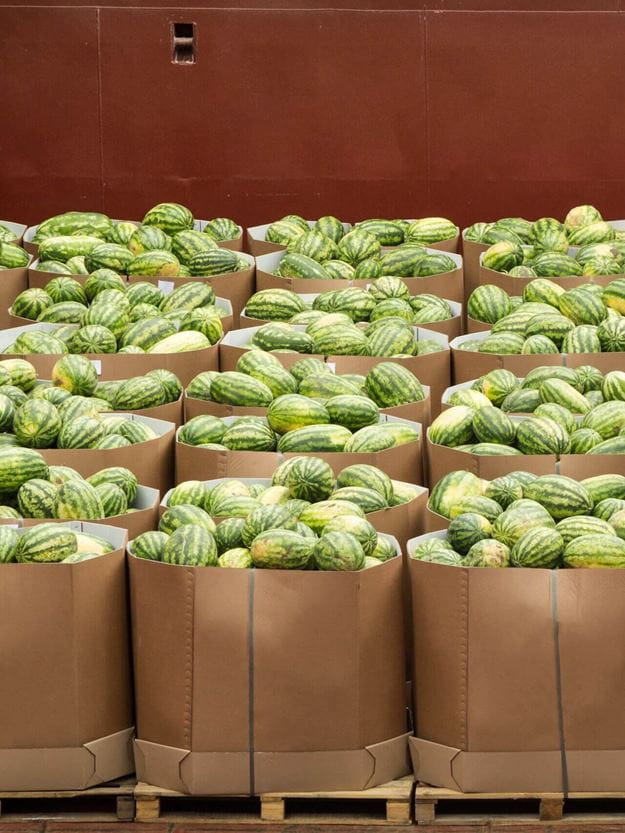 Perishable goods ready to be shipped with cold chain logistics