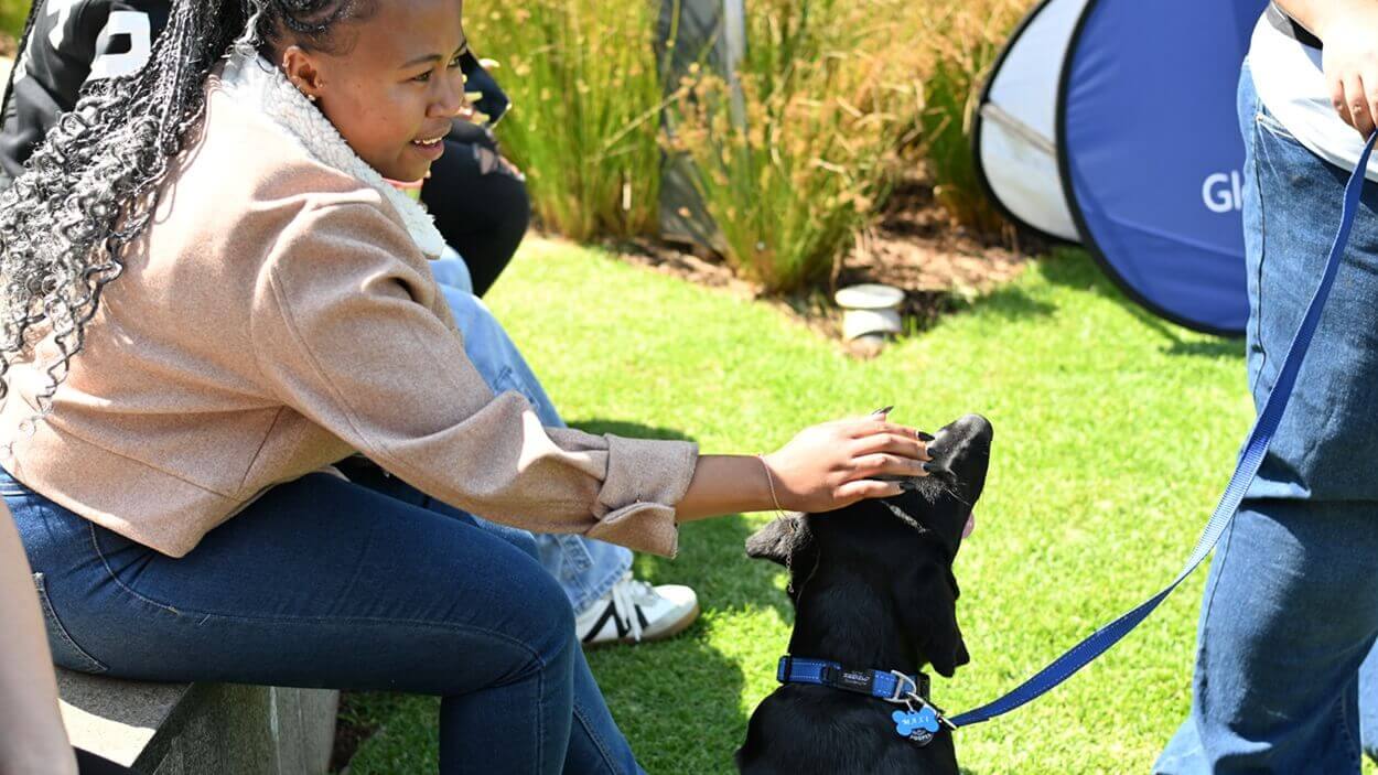 DSV Employee interacting with a SA Guide dogs service dog at DSV Park Gauteng in South Africa