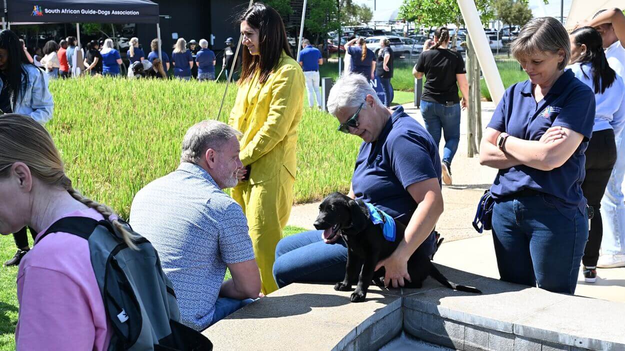 DSV employees interacting with a puppy being raised by the SA Guide dogs association 