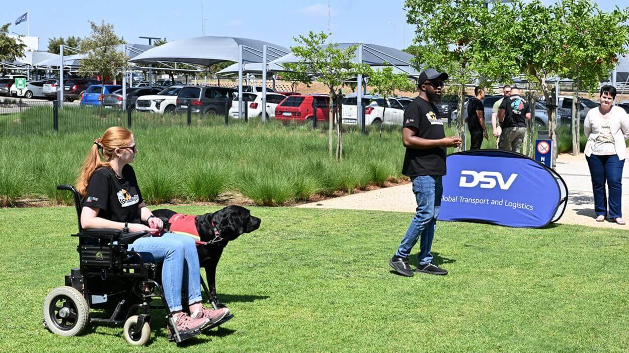 SA Guide dogs association team member demonstrates a service dog's skills while in a wheel chair promoting mobility inclusion