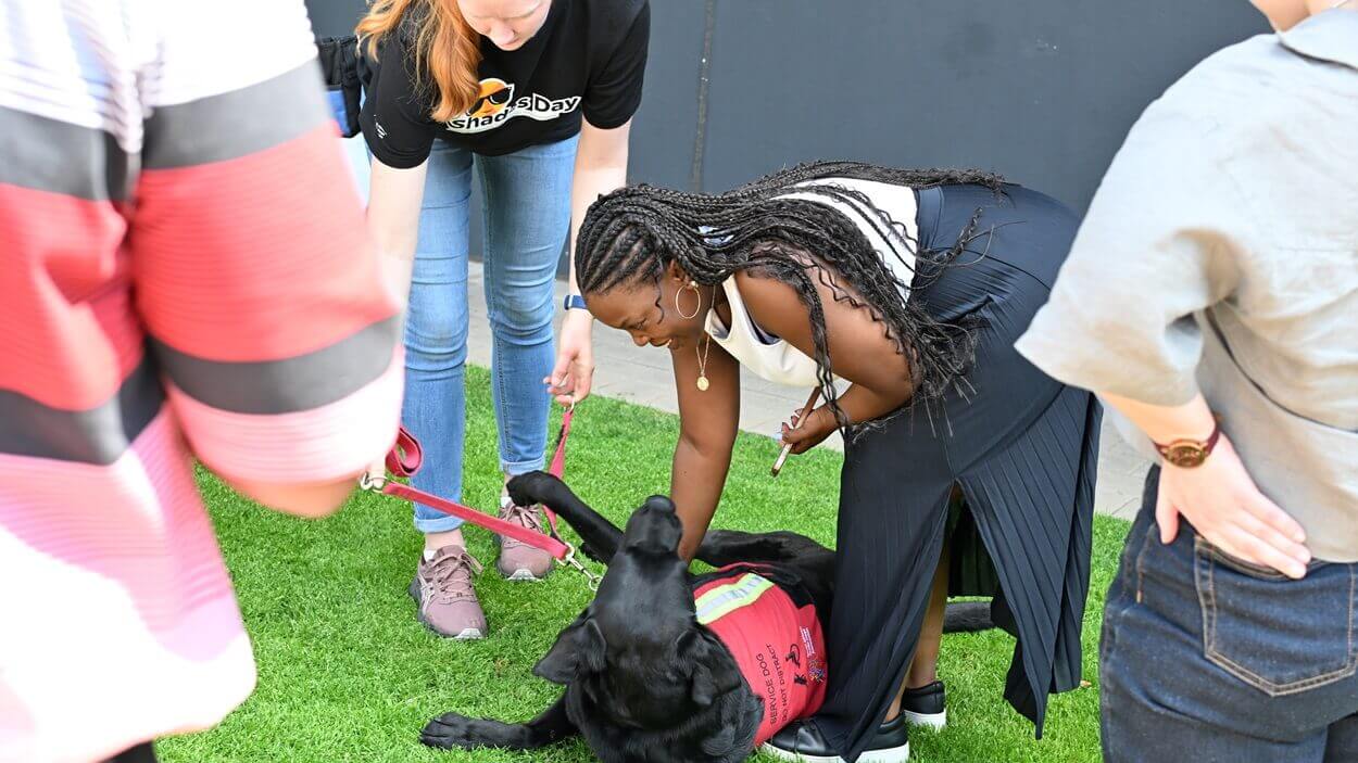 A service dog from SA Guide dogs association playing with DSV employees at the Gauteng Park in South Africa