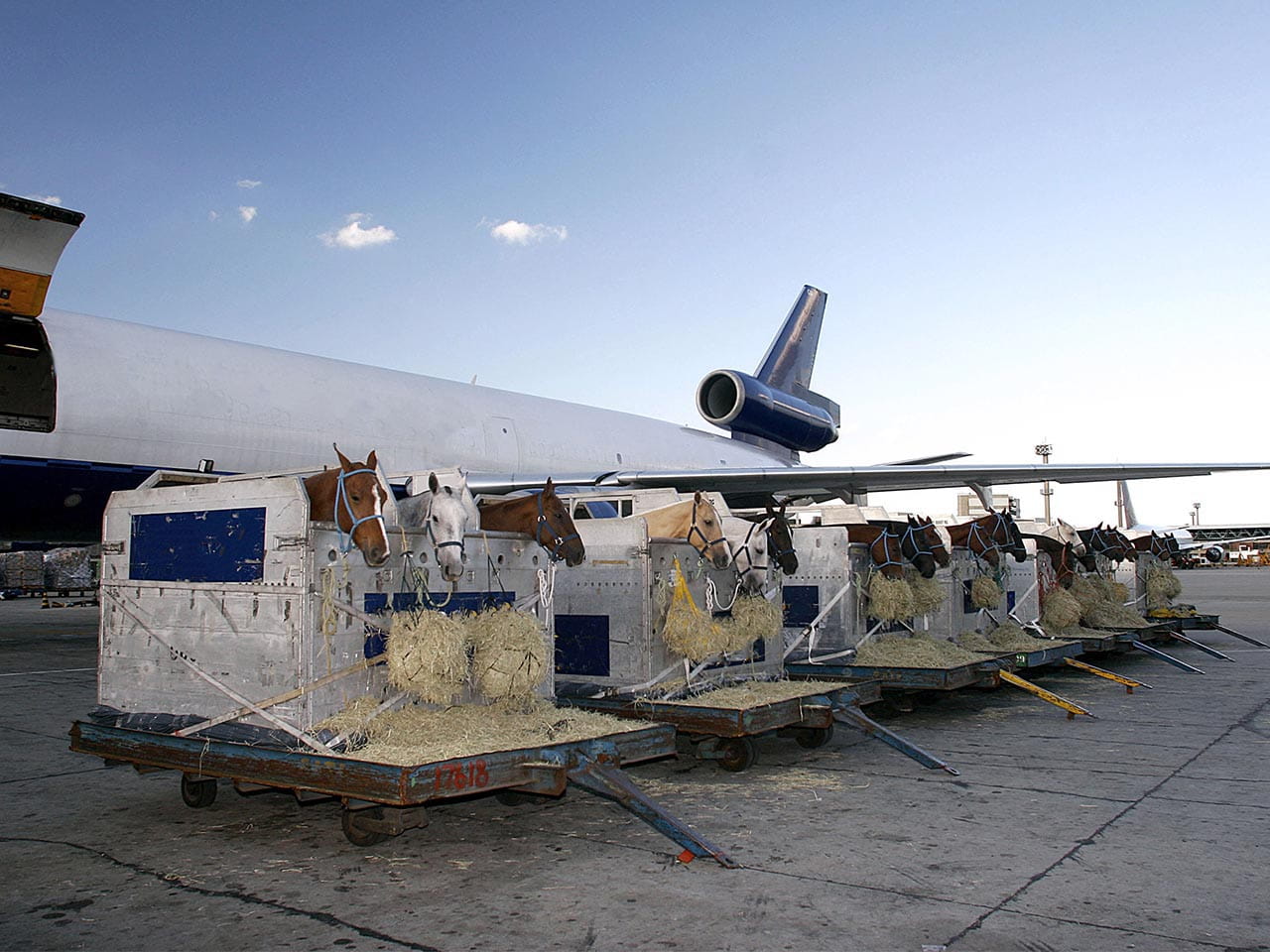 Air charter