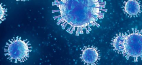 Coronavirus staff and market update