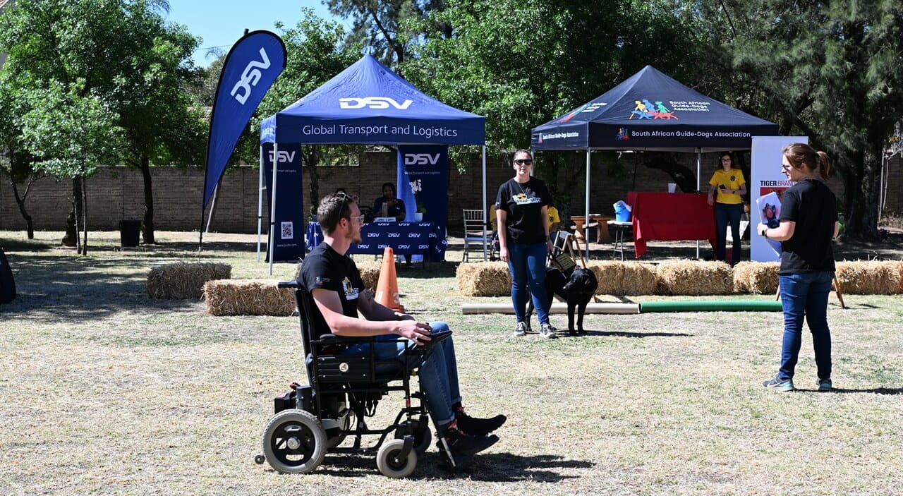 Attendee of Shades day who is wheelchair bound watching the guide dogs on display