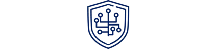 DSV connectivity secure