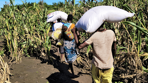 DSV helped Red Cross provide emergency relief for thousands of people after Malawi floods